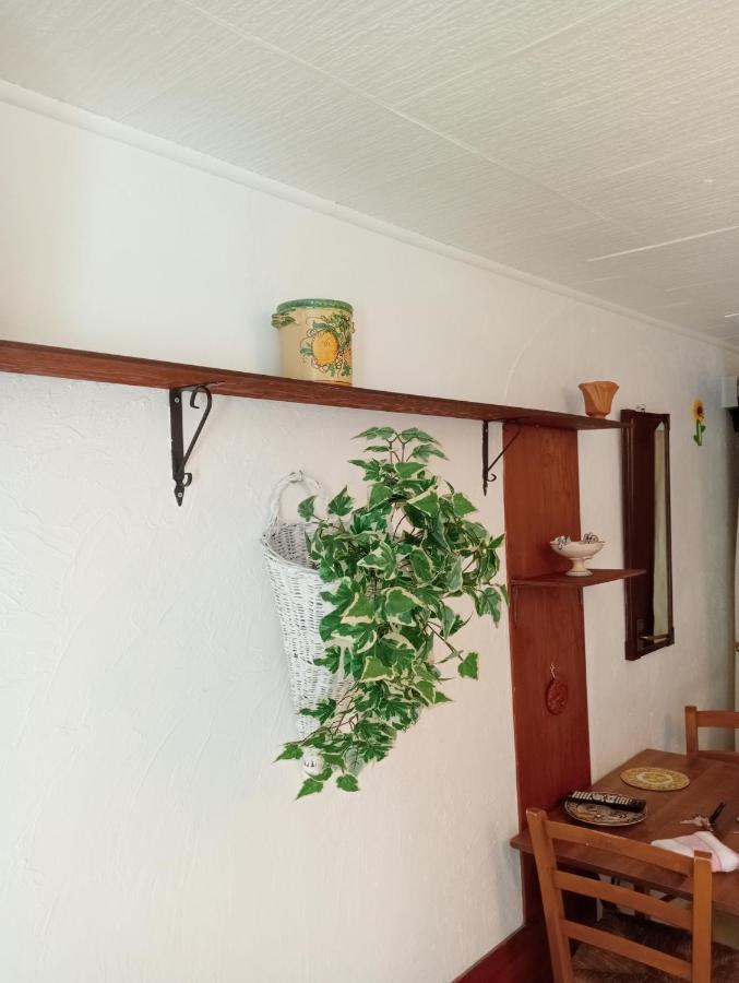 Casa Vacanze Il Girasole كالتاجيروني المظهر الخارجي الصورة
